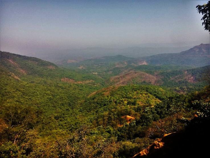 3. Amboli